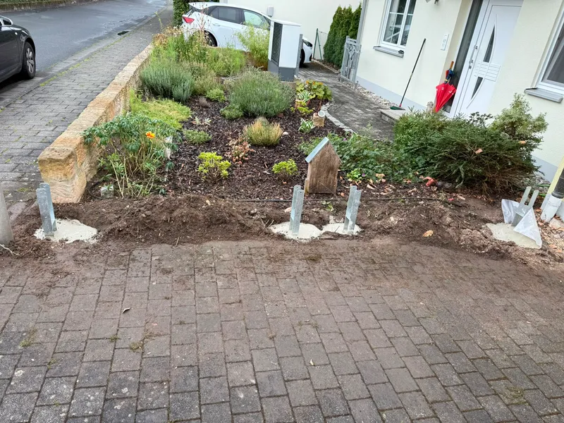Heckenschnitt & neuer Sichtschutz – Foto 2